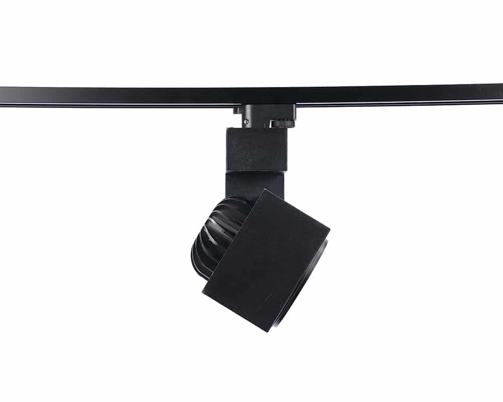 Kare Ray Spot Kollu 2