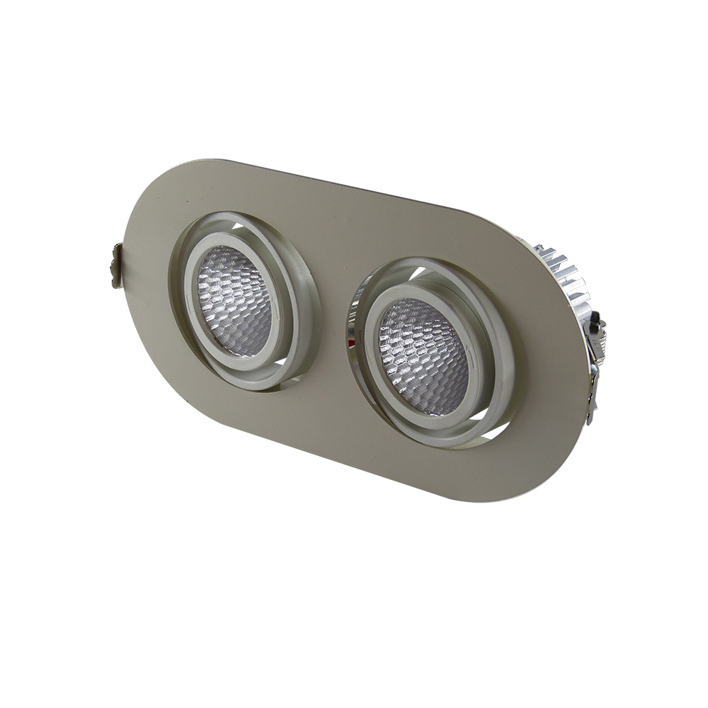 Sıva Altı Hareketli Led Spot 2x10W 3