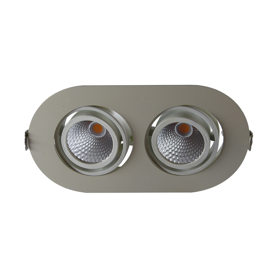 Sıva Altı Hareketli Led Spot 2x10W 2