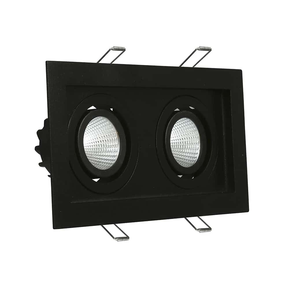 Cheetah Led Spot 2x10