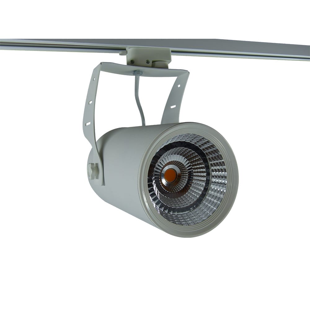 Ray Spot Wing Tasarım