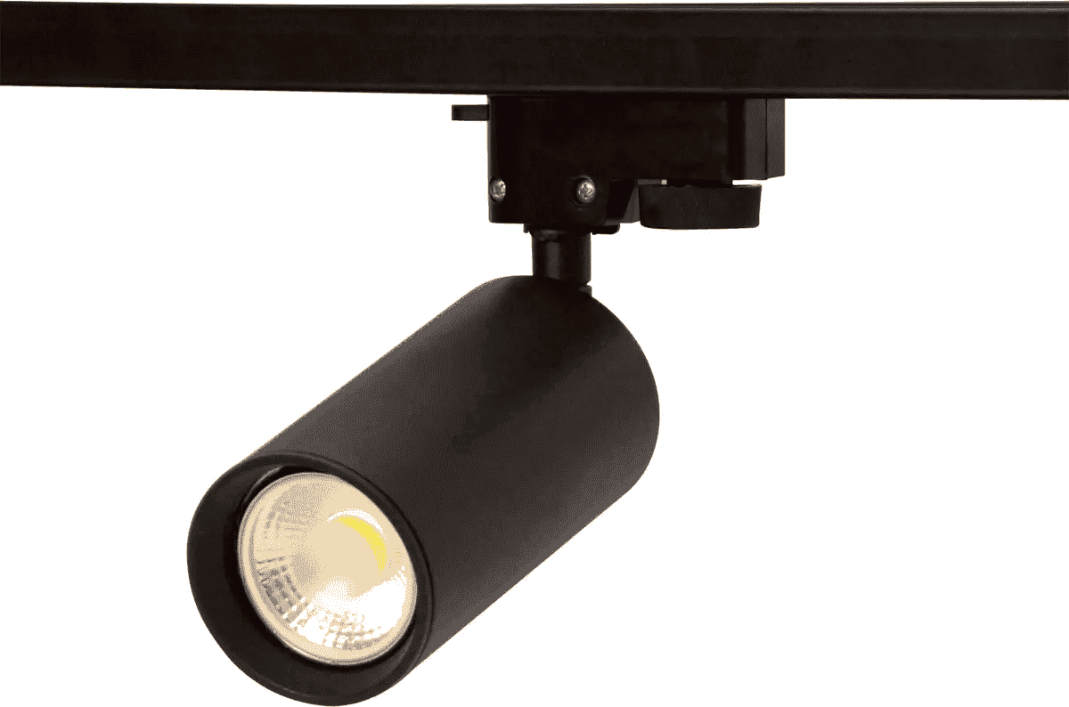 Tiny Ray Spot Minimal